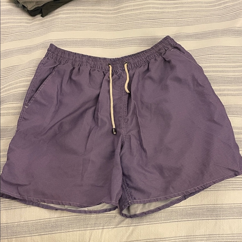 Stylish Purple Men's Swim Trunks
